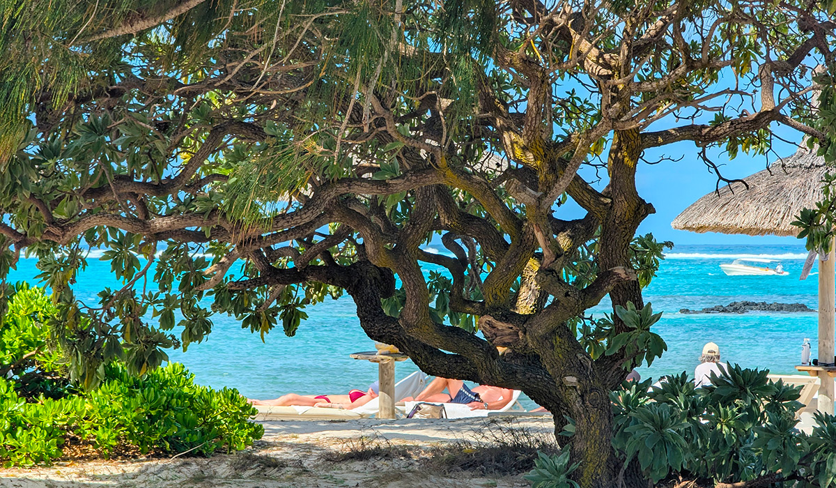 L'île Maurice, destination de prédilection des Français : anatomie d'une histoire d'amour touristique